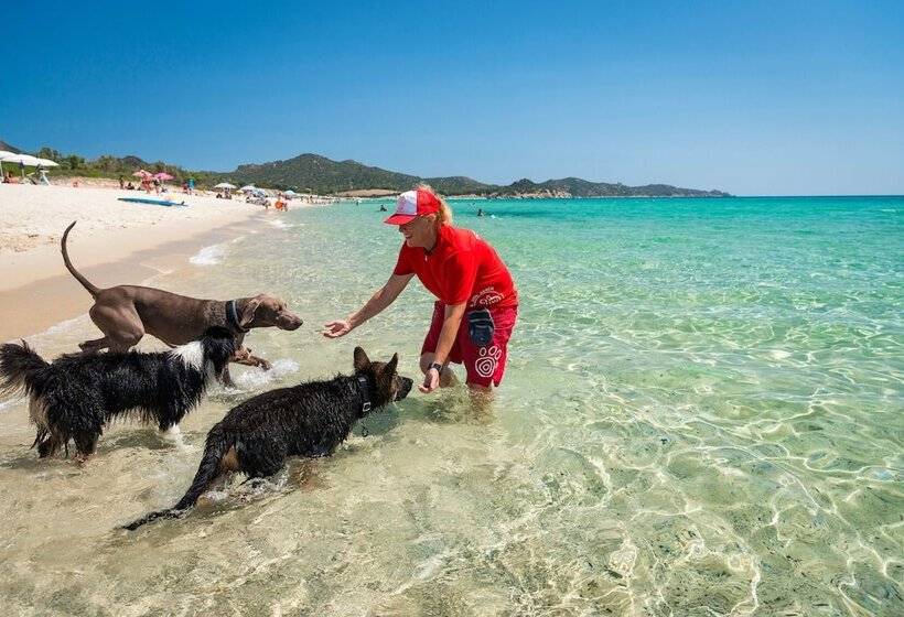 هتل Tiliguerta Glamping & Camping Village