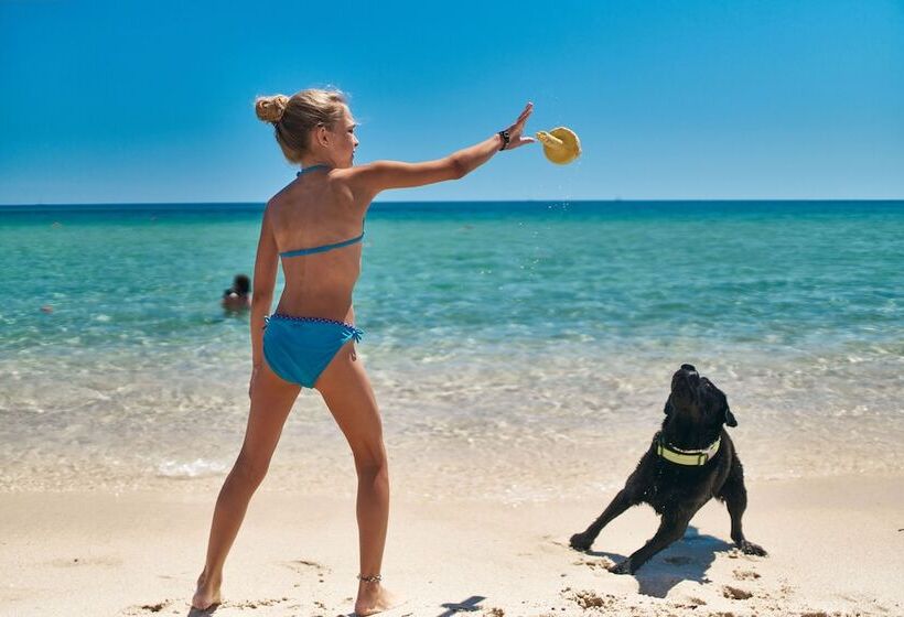 هتل Tiliguerta Glamping & Camping Village