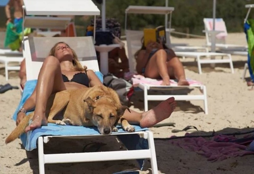 هتل Tiliguerta Glamping & Camping Village