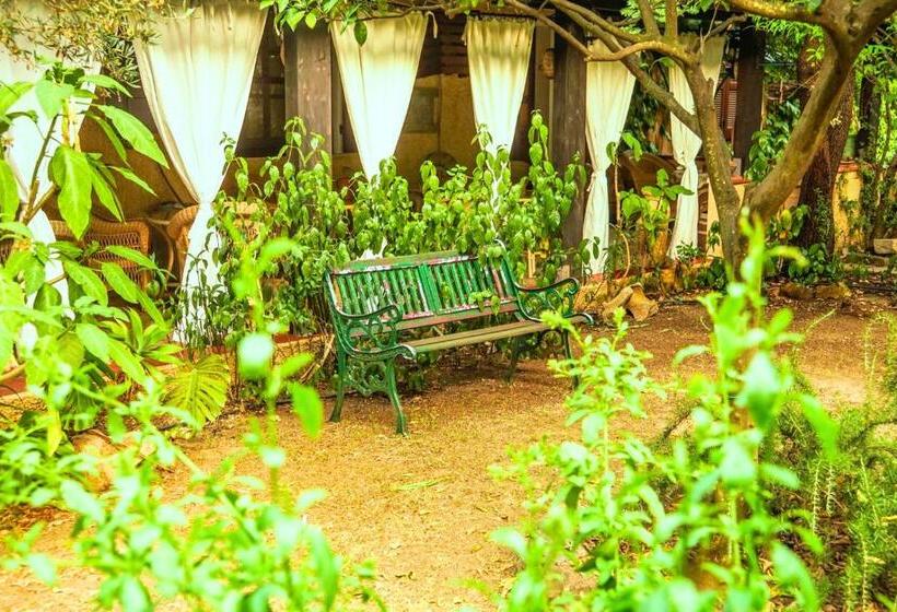 פנסיון Affittacamere Sa Bratza Vacanze