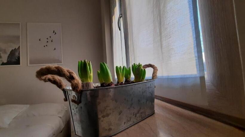 פנסיון Bgy Airport House Grassobbio