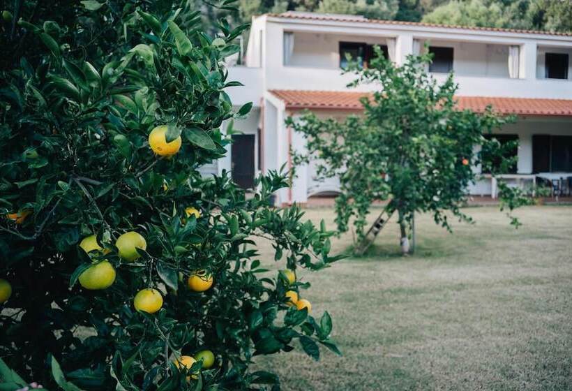 펜션 Guesthouse Casavasco
