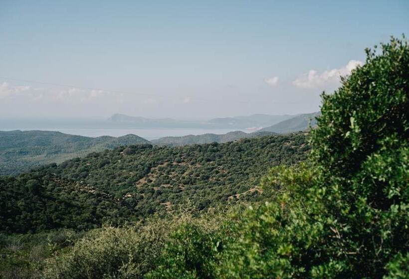 Pensjonat Guesthouse Casavasco