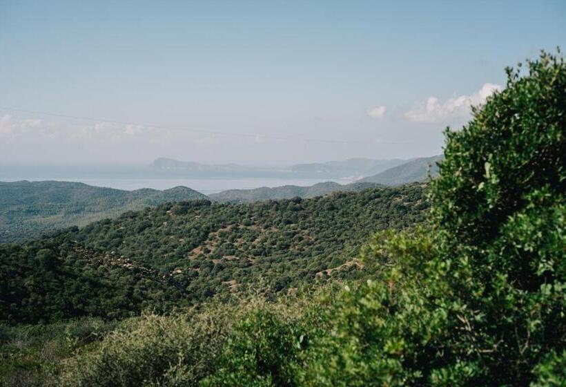 Pensjonat Guesthouse Casavasco