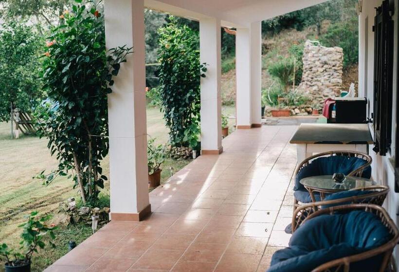 Pensjonat Guesthouse Casavasco