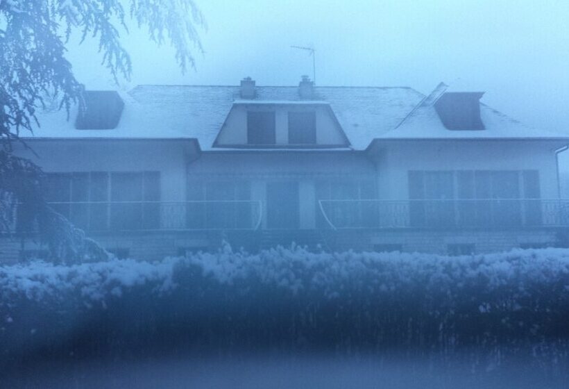 膳宿费 Le Curieux