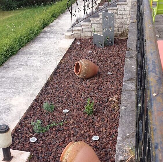 膳宿费 Le Curieux