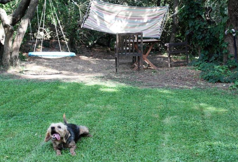 Agriturismo Lu Branu