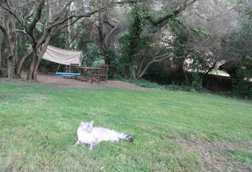 Agriturismo Lu Branu