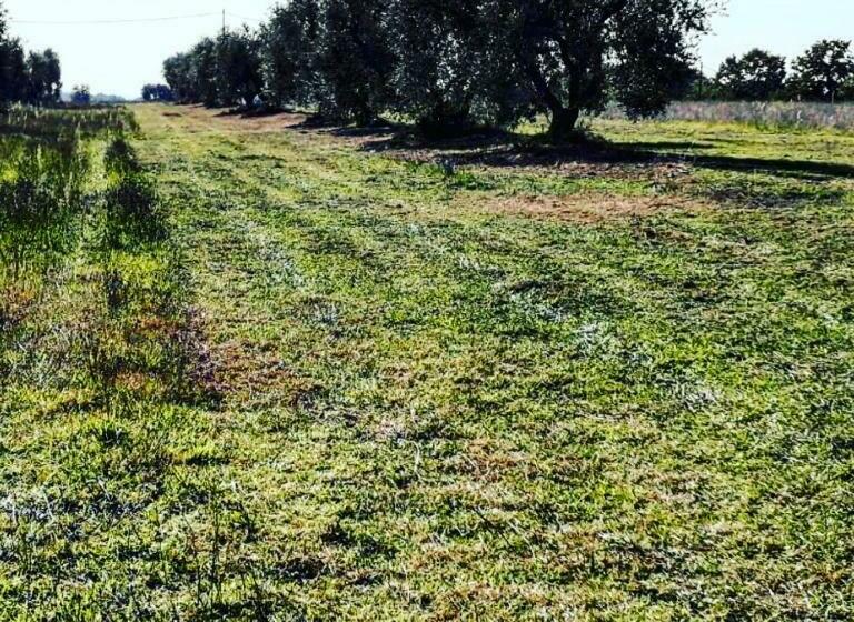 Agriturismo Podernuovo