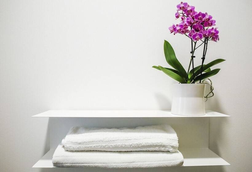 B&b Warmup Grosseto   Parcheggio Incluso Nella Corte Interna