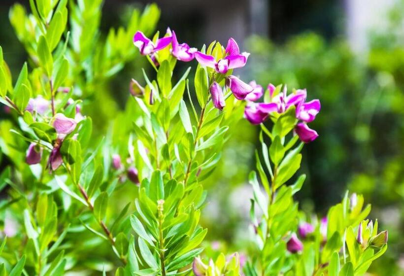 B&b Warmup Grosseto   Parcheggio Incluso Nella Corte Interna