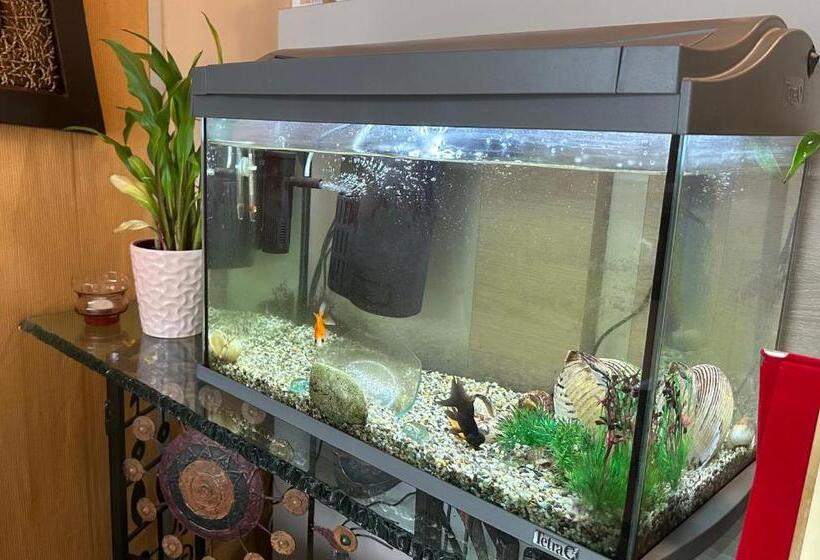 민박 La Terrazza Sul Mare