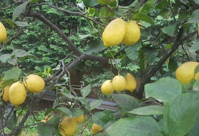 مبيت وإفطار Villa Erry