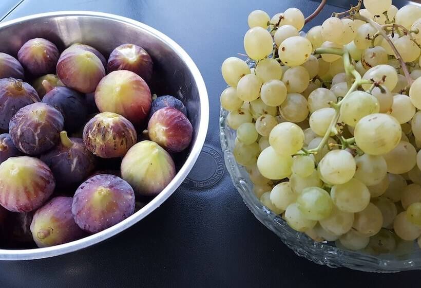 مبيت وإفطار Villa Erry