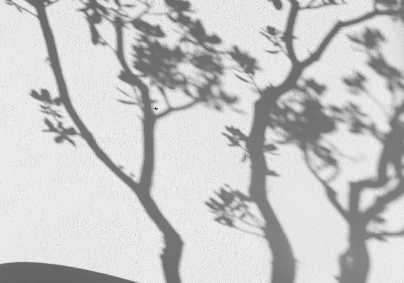 مبيت وإفطار Villa Valbom