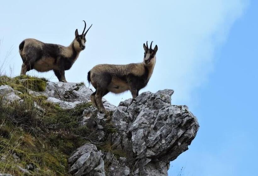 Casa Hotel Civitella