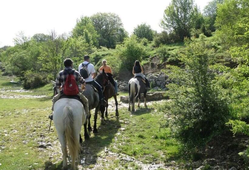 Casa Hotel Civitella