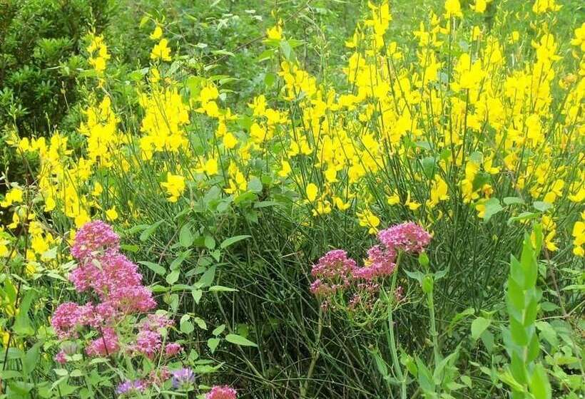 乡村酒店 Agriturismo A Veggia Vigna