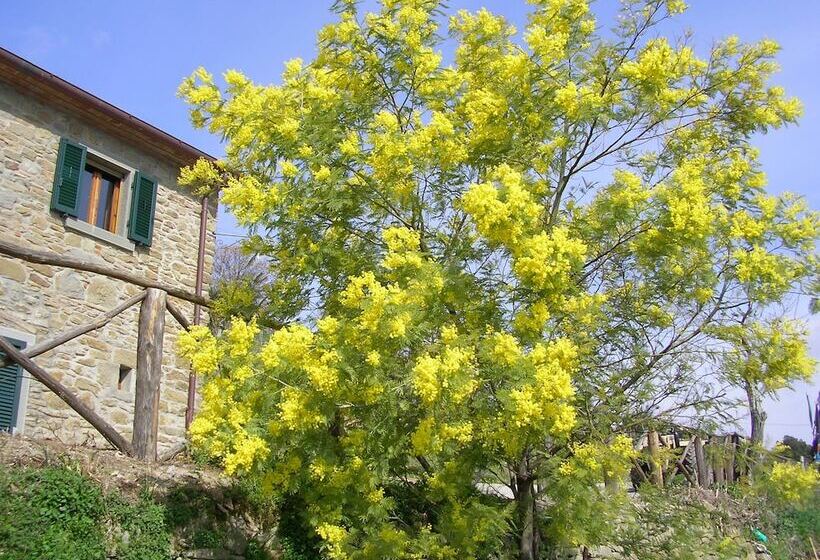 Сельский отель Agriturismo Casale Della Torre