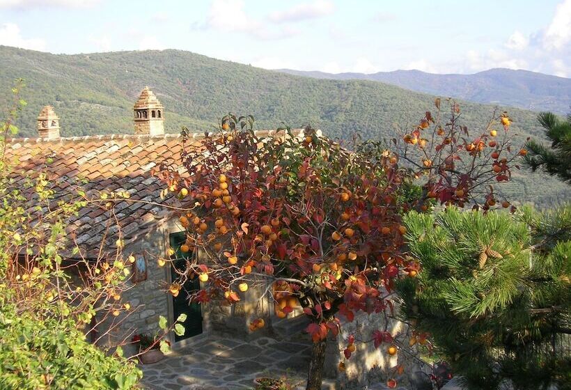 Сельский отель Agriturismo Casale Della Torre