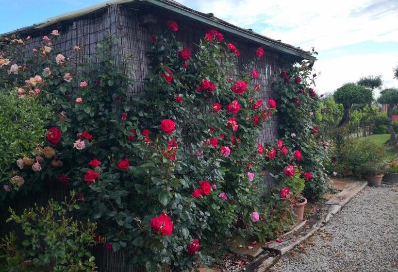 هتل روستایی Agriturismo I Colli
