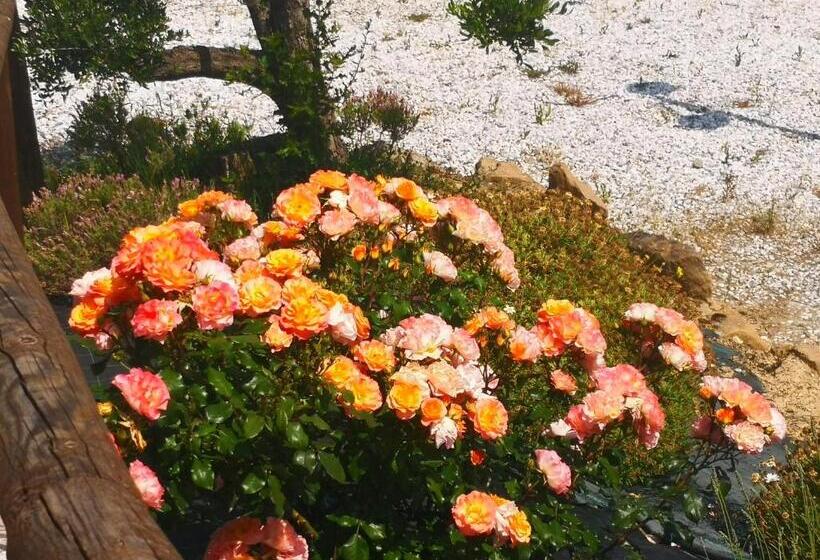 هتل روستایی Agriturismo I Colli