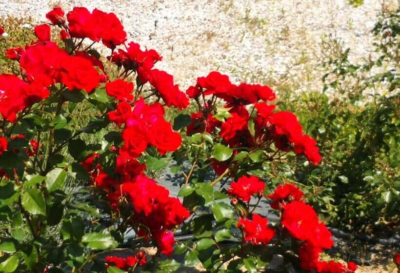 هتل روستایی Agriturismo I Colli