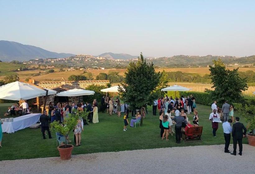 בית מלון כפרי Agriturismo La Polledrara