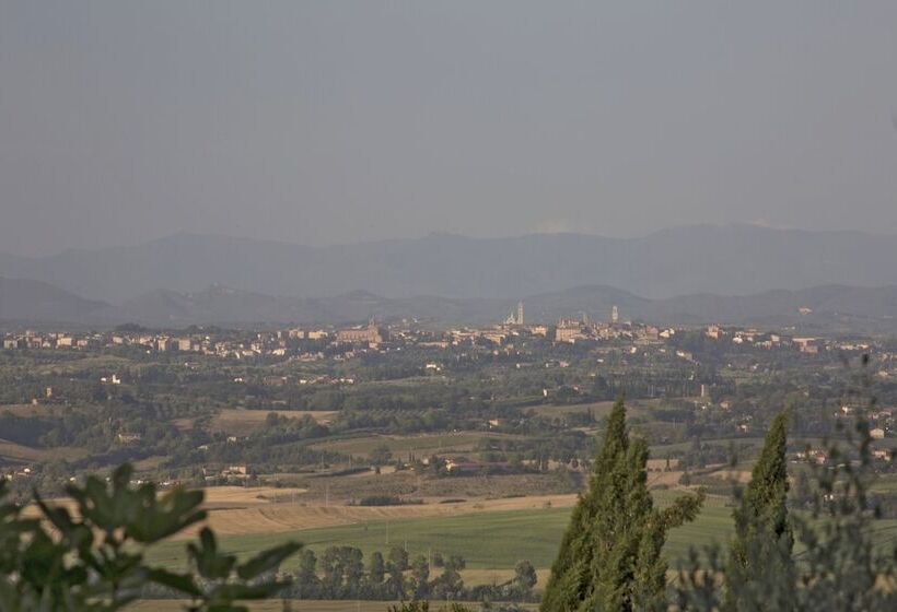 בית מלון כפרי Azienda Agricola Montestigliano