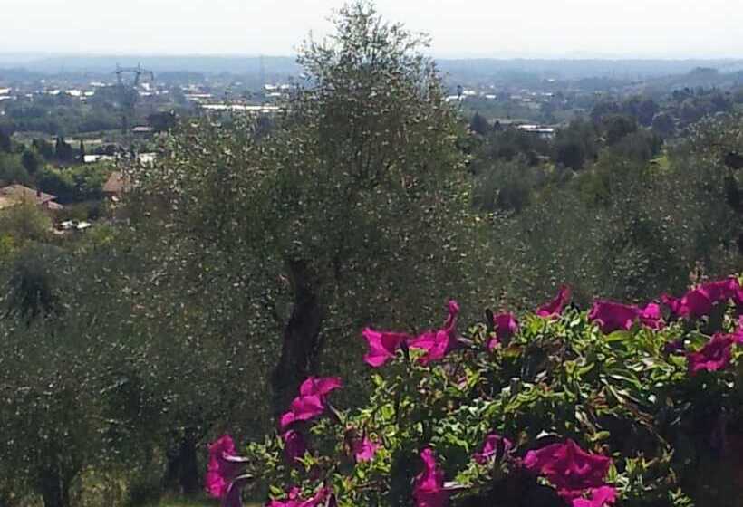 田舎風ホテル Il Campano