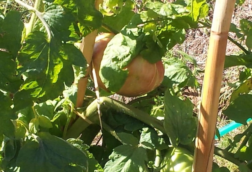 田舎風ホテル Il Campano