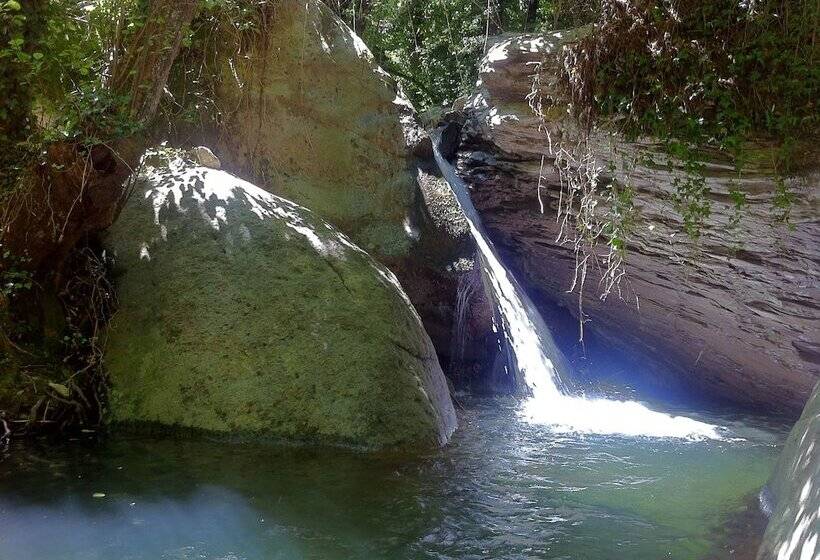 בית מלון כפרי Le Case Della Buca Agriturismo Ed Agricampeggio