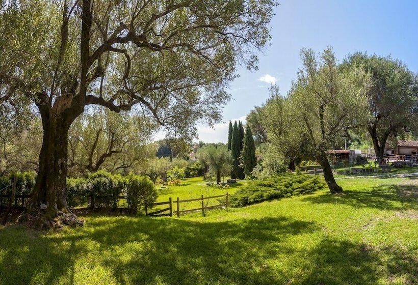 교외 호텔 Pie  D Ulivo