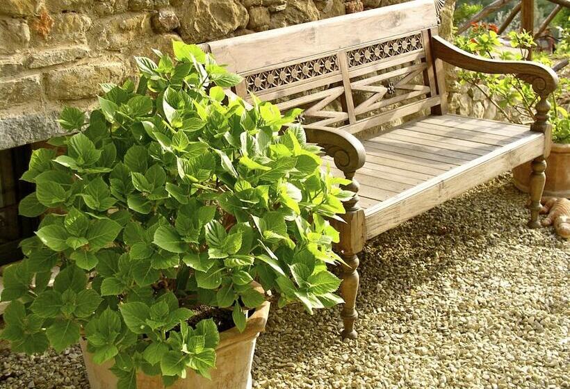 田舎風ホテル Ventena Vecchia Antico Frantoio