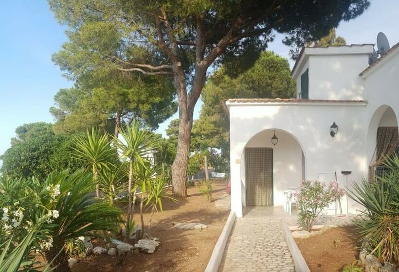 هتل Villaggio Turistico Valle Scinni