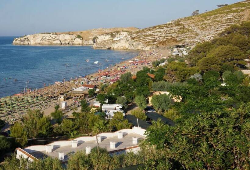 هتل Villaggio Turistico Valle Scinni