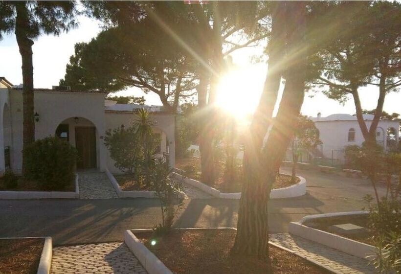 هتل Villaggio Turistico Valle Scinni