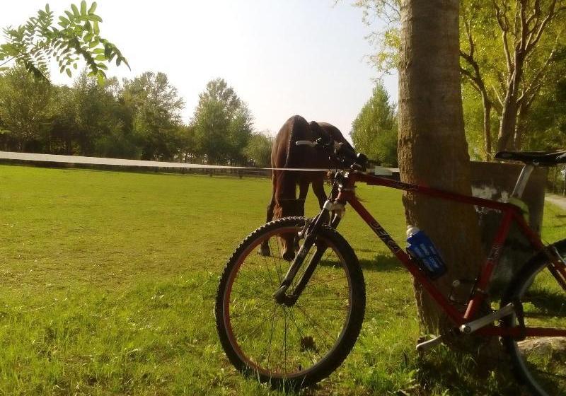 Antico Casale Dei Sogni Agriturismo