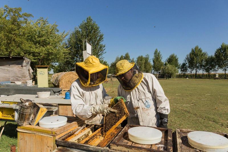 Antico Casale Dei Sogni Agriturismo