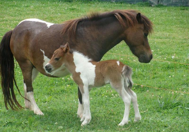 Antico Casale Dei Sogni Agriturismo