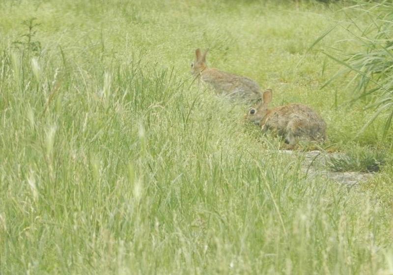 Ostello Il Gruccione