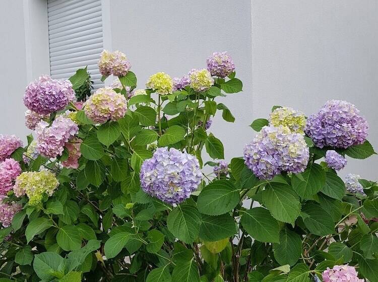 پانسیون B&b Buscemi