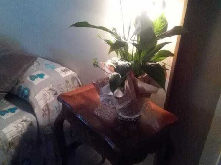 بنسيون B&b L Arte