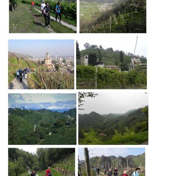 פנסיון Da Meri Tra Le Colline Del Prosecco Docg Locazione Turistica