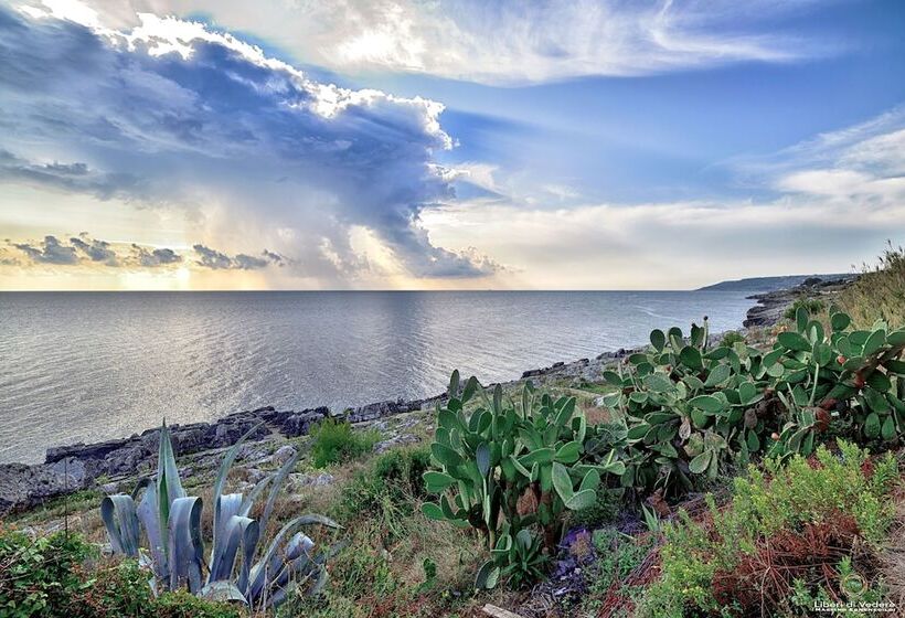 بنسيون Oikia Vacanze Diso Chiara