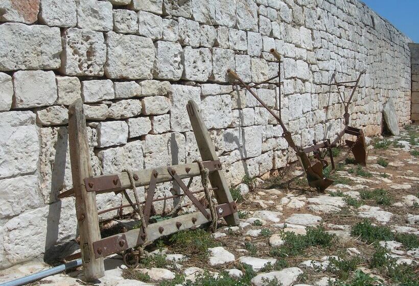 住所  Masseria Montecchie