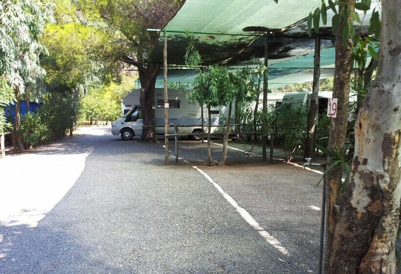 리조트 International Camping Village