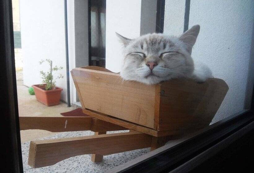 Alma Bed & Breakfast