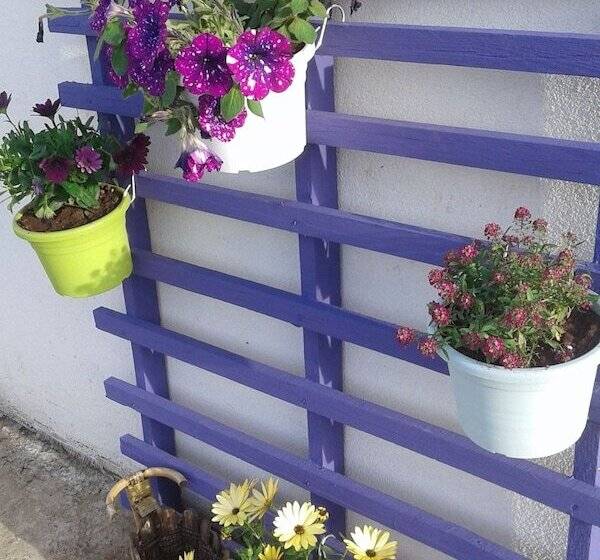 Alma Bed & Breakfast